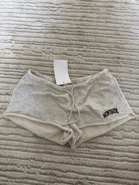 Brandy Melville Montauk Light Gray Fleece Lounge Shorts